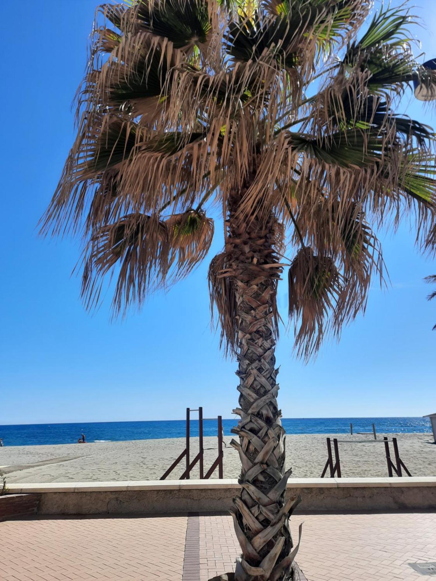 Fuengirola Apartment Carvajal Front Line Primera Linea Zewnętrze zdjęcie